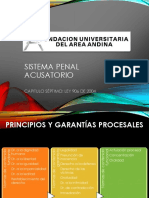 DIAPOSITIVAS CLASE SISTEMA PENAL ACUSATORIO-3.pdf