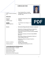 Curriculum Jorge Alejandro Flores Avendaño Ok PDF