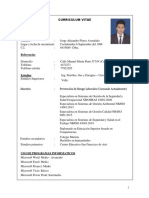 Curriculum Jorge Alejandro Flores Avendaño ok.pdf