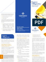 SegurosObligatorios.pdf
