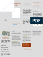 panfleto Calcada ideal_1.pdf