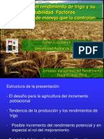 Calderini PDF