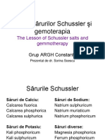214692449-Lectia-Sarurilor-Schussler.pdf