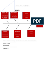 Diagrama Causa Efecto Caida de Pacientes