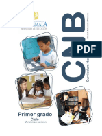 1o grado CNB Nivel de Educación Primaria (1).pdf