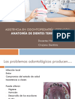 Anatomía de Dientes Temporales