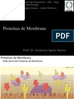 04 - Proteínas de Membrana.pdf