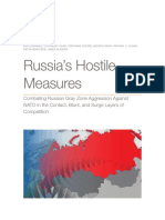 Rand Russia Report