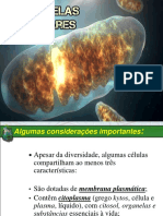 CITOPLASMA E ORGANELAS CITOPLASMÁTICAS.pptx