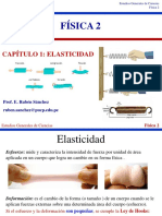 Capítulo 1_ Elasticidad.pdf
