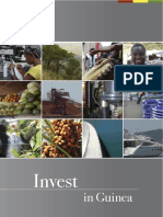 Guinee_Investir-eng-_compress__copy.pdf