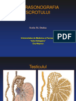 Ultrasonografia Scrotului DUDEA