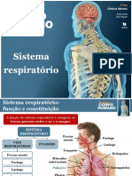 Sistema Respiraçao PDF
