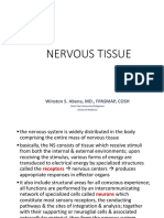 Nervous Tissue Review
