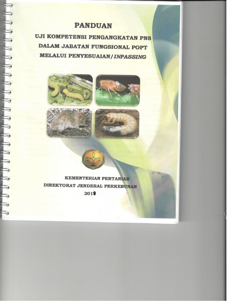 Panduan Inpassing POPT PDF | PDF