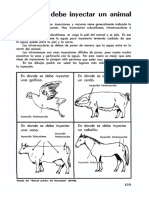 50 Dónde Se Debe Inyectar Un Animal PDF