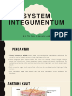 System Integumentum