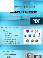 What Is Virus