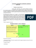 Tipos de Guiones. Americano y Europeo PDF