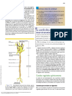 Fisiología_humana PARTE 1-1 (1).pdf