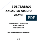 Plan de Trabajo - Esn Adulto Mayor