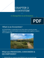 Chapter 2 - Ecosystem