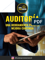 Auditaría, Una Herramienta para La Mejora Continua, Ebook PDF