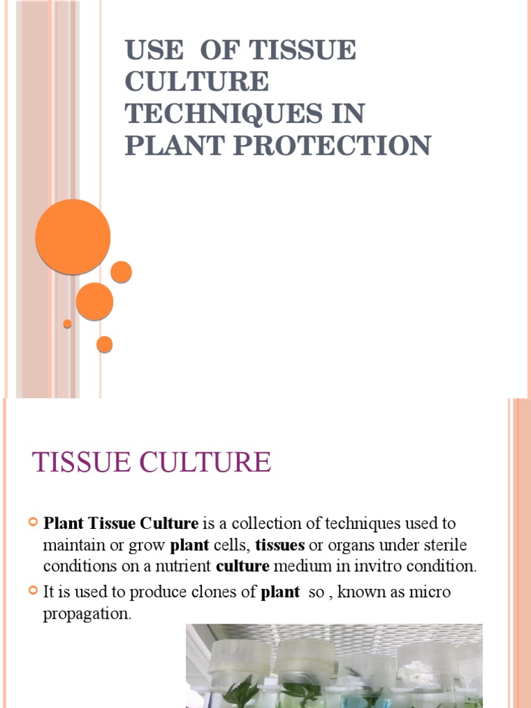 Uses of Tissue Culture Techniques in Plant Protection PDF