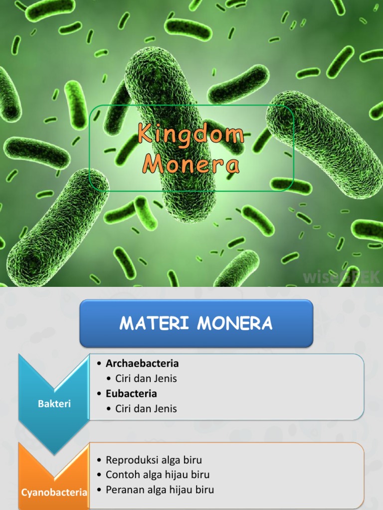 Kingdom Monera | PDF