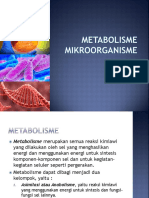 p12 METABOLISME