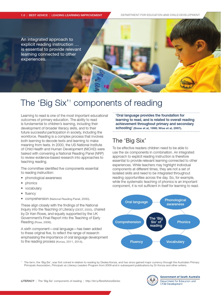 The Big Six Components of Reading PDF PDF Phonics Reading