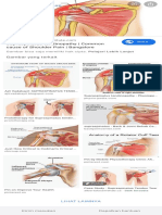 tendon supraspinatus - Google Penelusuran