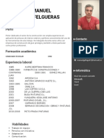 Nueva Plantilla Curriculum Vitae Original Gris Derecha