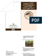 Insect Pest and Diseases of Cacao and Their Management