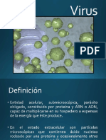 12. Virus.pdf