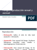 8. Hongos sexual y asexual (1).pdf