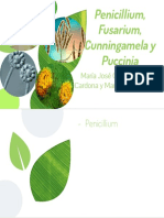 Penicillium, Fusarium, Cunningamela y Puccinia PDF