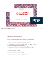 17-catabolismo-y-anabolismo3.pdf