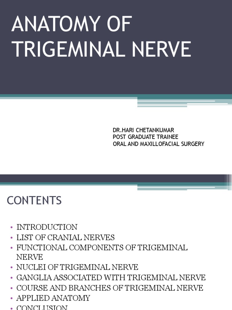 Anatomy of Trigeminal Nerve | PDF | Neuroanatomy | Human Head And Neck
