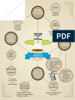 Resumen - Infografía - S2.pdf