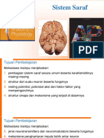 Sistem Saraf: Struktur dan Fungsi Neuron