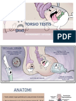 Referat Torsio Testis Fix PDF