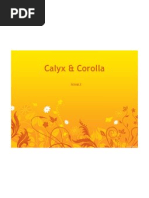 Presentation Case Study Calyx & Corolla