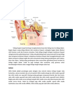 Otitis Media