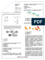 PREGUNTAS TIPO ICFES SOBRE REPRODUCCIÓN Y MITOSIS