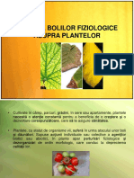 Bolile Fiziologice La Plante