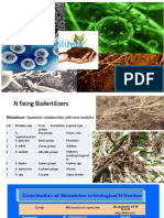 Bio Fertilizer