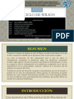 Diapositivas-Ciclo de Wilson Final