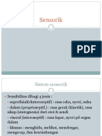 Sensorik PDF