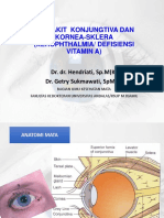 3.4.2.2. Penyakit Konjungtiva Dan Kornea-Sklera New (Dr. Hendriati)